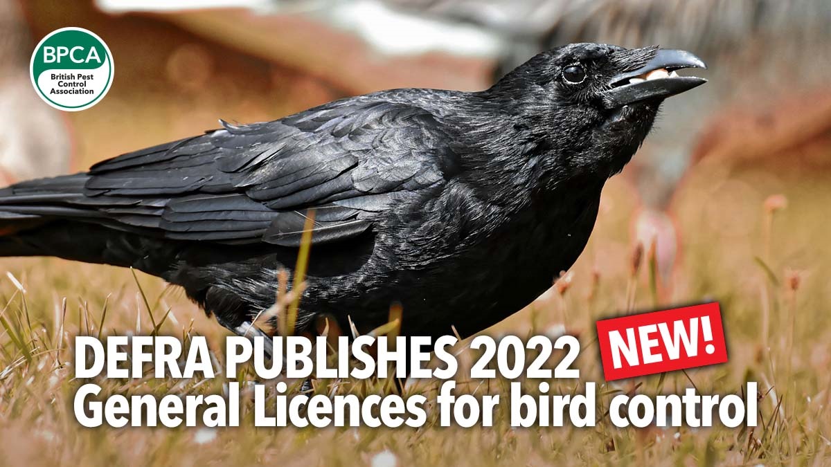 defrapublishes2022generallicencesforwildbirdcontrol defrapublishes2022generallicencesforwildbirdcontrol
